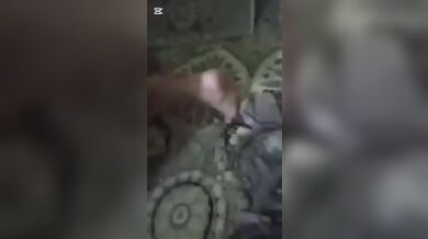 Desi lady enjoying sex with apartment secretary