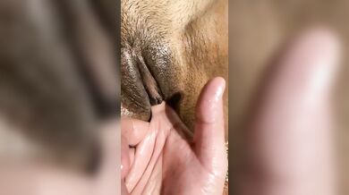 Punjabi tanker girl sex with her rich boyfriend viral MMS