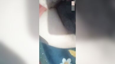 Shy village bhabhi pussy and boobs shown on video call