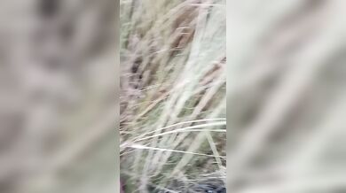 Shy GF’s Hairy Bush Exposed and Pounded During Risky Outdoor Sex – Indian Jungle MMS